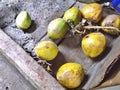 A picture of few coconuts for display at market