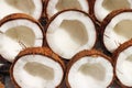 Coconut display on a stall in india