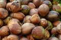 Coconut, dried coconut brown, coconut fruit for background