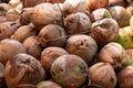 Coconut, dried coconut brown, coconut fruit for background Royalty Free Stock Photo