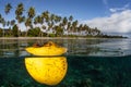 Coconut Drifting Near Tropical Island Royalty Free Stock Photo