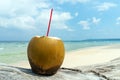 Coconut with drinking straw on a palm tree at the sea