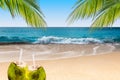 Coconut drinks on tropical beach with swaying palm trees.