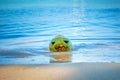 Coconut drowns in water on the beach. The symbol of Halloween, like a carved abstract face on a pumpkin