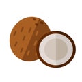 Coconut drupe with half section vector illustration. Superfood c