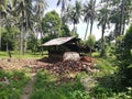 Coconut drying hut on Mindoro, Philippines