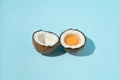 Coconut and egg together on a light blue background. Minimal summer layout summer