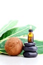 Coconut essential oil