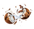 Coconut explodes into pieces on white background Royalty Free Stock Photo