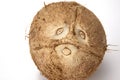 Coconut face Royalty Free Stock Photo