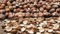 Coconut farm with nuts ready for oil and pulp production. Large piles of ripe sorted coconuts. Paradise Samui tropical island in