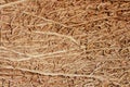 Coconut fiber Royalty Free Stock Photo
