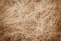 Coconut fiber - material for making ropes and mats Royalty Free Stock Photo