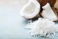 Coconut flakes on a blue background. with copy space Royalty Free Stock Photo