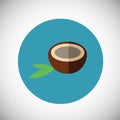 Coconut on flat background Royalty Free Stock Photo