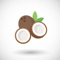 Coconut flat icon