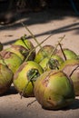 Coconut on the Floor Royalty Free Stock Photo