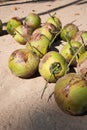 Coconut on the Floor Royalty Free Stock Photo