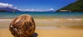 Coconut on a deserted beach.