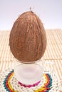 Coconut Royalty Free Stock Photo