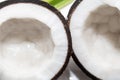 Coconut fruit with cut in half isolated on white background Royalty Free Stock Photo