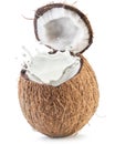 Coconut fruit and milk splash inside it. Royalty Free Stock Photo