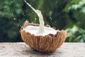Coconut fruit and milk splash inside it on a background of a pal Royalty Free Stock Photo