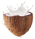 Coconut fruit and milk splash inside it. Clipping path. Royalty Free Stock Photo