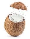 Coconut fruit and milk splash inside it. Royalty Free Stock Photo