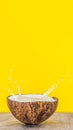 Coconut fruit and milk splash inside it on yellow background VERTICAL FORMAT for Instagram mobile story or stories size Royalty Free Stock Photo