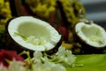Coconut fruit is ready for hindu rituals offering. Royalty Free Stock Photo