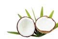 Coconut