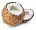 Coconut fruit on a white background.