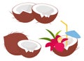 Coconut fruits collection in cartoon style. Coconut whole and half, coconut fresh juice drink. Cocktail coconut with