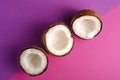 Coconut fruits in row on violet and purple plain background