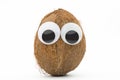 Coconut with googly eyes on white background Royalty Free Stock Photo