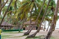 Coconut grove in La Campagne beach Resort Lekki Lagos Nigeria Royalty Free Stock Photo