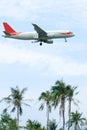 Coconut groves and plane