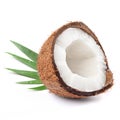 Coconut half