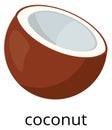 Coconut half icon. Tropical milk sweet nut