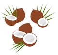 Coconut with half and leaves. Collection of diferent coconut. Raster illustration on white background Royalty Free Stock Photo