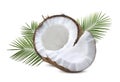 Coconut half piece with leaves isolated on white