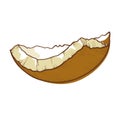 Coconut half shell icon, cracked brown coco nut