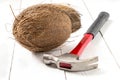 Coconut and hammer