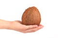 Coconut on hand isolated. White background.