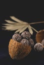 Coconut healthy sugar free bliss balls in coconut shells placed on dark background. Close-up view.