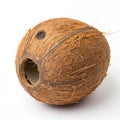 Coconut with a hole in it isolated on white background Royalty Free Stock Photo