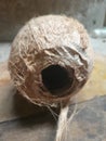 Coconut with hole