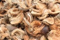 Coconut husks Royalty Free Stock Photo