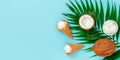 Coconut ice cream with palm leaf on vibrant blue background. Top view, copy space Royalty Free Stock Photo